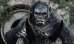 决战猩球2001在线观看,重燃原始之战