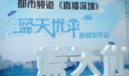 深圳都市怎样爆料新闻,揭秘新闻背后的真相