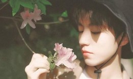 娱乐号爆料吴亦凡李小璐,真相背后，娱乐圈的复杂关系网”