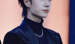 圈内人爆料王一博视频,圈内人揭秘背后真相