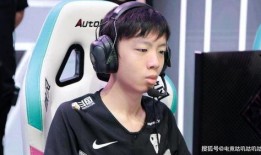 圈内爆料smlz,揭秘电竞传奇背后的故事