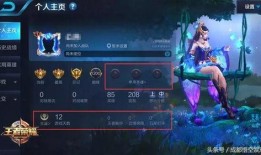 王者爆料了吗最新消息新闻,最新消息揭秘游戏新动态与更新内容