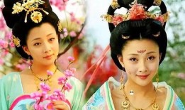 贵妃患病爆料视频播放,揭秘宫廷秘闻背后的健康危机