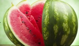 日本爆料韩国西瓜视频,韩国西瓜视频背后的惊人真相