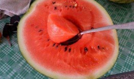 日本爆料韩国西瓜视频,韩国西瓜视频背后的惊人真相