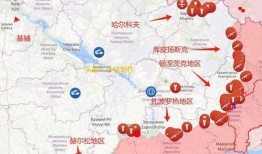 俄乌局势最新爆料新闻,最新爆料揭示惊人内幕