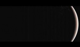 熊猫明星爆料视频下载,揭秘幕后精彩瞬间