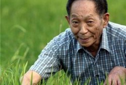 袁隆平 在线观看,杂交水稻之父的传奇人生