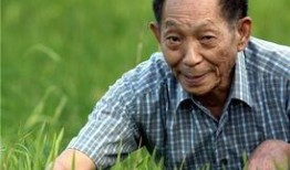 袁隆平 在线观看,杂交水稻之父的传奇人生