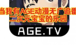 哔哩哔哩官方爆料视频,揭秘全新内容与功能升级