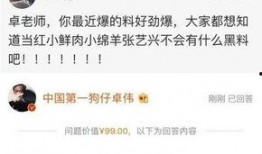 卓伟爆料赵丽颖彩排视频,敬业态度引网友热议