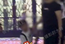 狗仔奇怪爆料视频大全,揭秘娱乐圈幕后爆料视频大揭秘