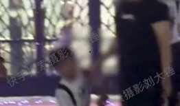 狗仔奇怪爆料视频大全,揭秘娱乐圈幕后爆料视频大揭秘