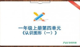 数学新课本爆料视频讲解,视频讲解带你领略数学之美