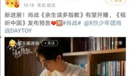 官方爆料肖战视频大全集,揭秘明星幕后生活