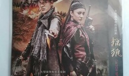 连续剧擒狼在线观看,卧底追踪，正义之战