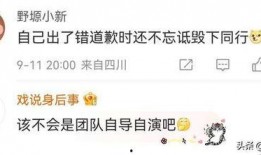 辛巴抖音直播间爆料视频,揭秘幕后真相