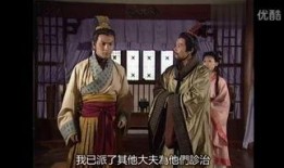 医神华佗国语在线观看,传奇人生与医学智慧的再现