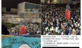 重庆卫视爆料新闻事件是真的吗,新闻事件真实性待核实