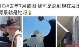 热巴狗仔爆料视频,揭秘明星私生活瞬间