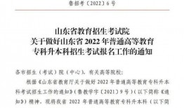 山东专升本最新爆料,2024年政策调整与热门专业解析