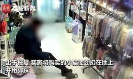 大连爆料探店事件视频,揭秘网红餐厅背后的真相