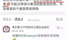 有关宋轶的爆料视频播放,揭秘娱乐圈幕后真相