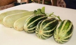 潮州网红吃瓜视频,揭秘潮州美食背后的故事