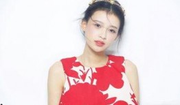 王珞丹姐妹爆料视频大全,真实生活与网络传闻的碰撞