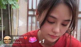 四叔四婶爆料视频播放,揭秘家庭背后惊人真相