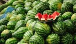 日本爆料韩国西瓜视频,韩国西瓜视频背后的惊人真相