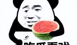 娱乐吃瓜酱为啥不一样,娱乐吃瓜酱为何千姿百态，独家揭秘幕后故事