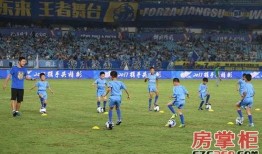 足球梦在线观看,激情燃烧的绿茵战场