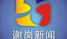 谢岗爆料新闻视频最新,揭秘事件背后惊人真相
