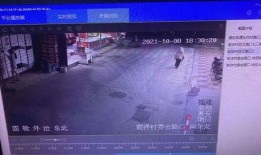 鱼爆料的视频大全最新,揭秘娱乐圈幕后真相