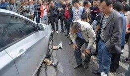 海丰爆料网碰瓷新闻最新,真相与反思