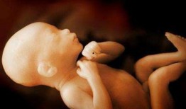 怀胎九月 在线观看,揭秘孕期生活与育儿智慧