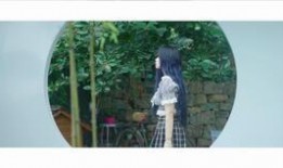 爆料奚安娜民宿视频大全,视频大全带你领略独特风情