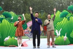 新宇星城爆料最新消息视频,揭秘神秘视频背后的惊人真相
