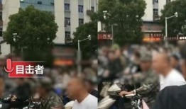 黑龙江特岗爆料事件最新,真相与反思并行