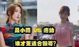 漳州苏菲爆料事件视频,真相与争议的交织