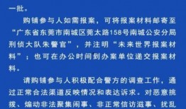 原阳南街爆料案件最新,案情揭秘，警方全力侦破