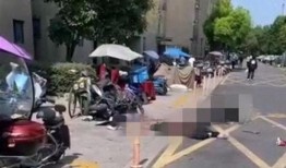 网友爆料坠楼案件最新,真相令人唏嘘”