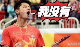 张继科视频爆料,赛场背后的真实故事