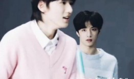 宋亚轩刘耀文圈内人爆料,圈内人爆料惊人内幕