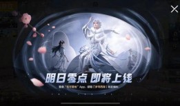 央视爆料新皮肤视频播放,新皮肤视频播放引发热议，神秘特效引期待