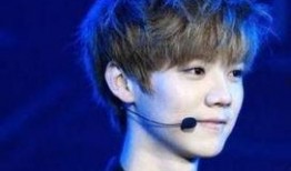 黄子诚爆料鹿晗了吗视频,视频爆料真相大白