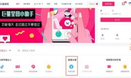 七彩菠萝爆料视频大全最新,揭秘热门话题背后的真相与精彩瞬间