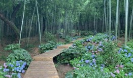 竹林小区新闻爆料最新,业主抗议物业，真相背后引关注