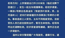 石家庄逆行爆料案件最新,真相大白，交通违规者终受惩处